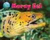 Moray_eel
