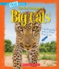 The_most_endangered_big_cats