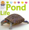 Pond_life