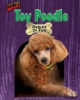 Toy_poodle