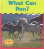 What_can_run_