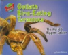 Goliath_bird-eating_tarantula