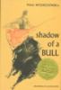 Shadow_of_a_bull