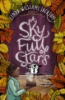 A_sky_full_of_stars