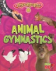 Animal_gymnastics