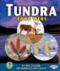 Tundra_food_webs
