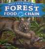 What_eats_what_in_a_forest_food_chain