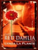 The_Red_Dahlia