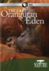 The_last_orangutan_Eden