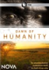 Dawn_of_humanity