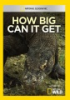 How_big_can_it_get