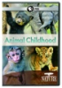 Animal_childhood