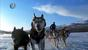 Dog_Sledding_-_Another_Sport_Facing_Doping_Scandals__Abuse_allegations