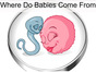 Where_Babies_Come_From