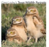 Greg_Lasley_s_Texas_Wildlife_Portraits