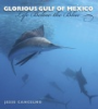 Glorious_Gulf_of_Mexico