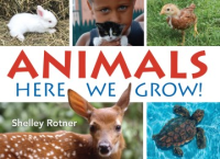 Animals_here_we_grow_