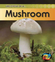 Life_cycle_of_a_--_mushroom