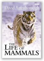 David_Attenborough_s_Life_of_Mammals