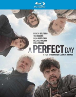A_perfect_day