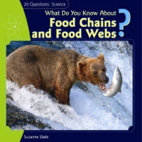 What_do_you_know_about_food_chains_and_food_webs_