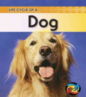 Life_cycle_of_a--_dog
