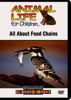 All_about_food_chains