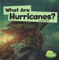 What_are_hurricanes_
