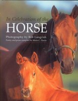 In_celebration_of_the_horse