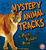 Mystery_animal_tracks