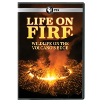 Life_on_fire