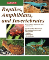 Reptiles__amphibians_and_invertebrates
