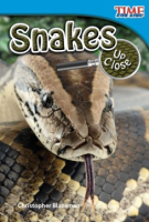 Snakes_up_close