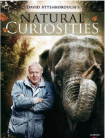 Attenborough_s_Natural_Curiosities__Series_1