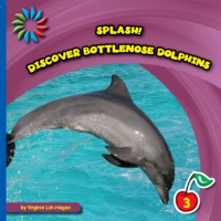 Discover_bottlenose_dolphins