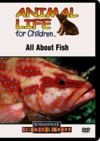 All_about_fish