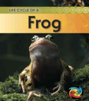 Life_cycle_of_a--_frog