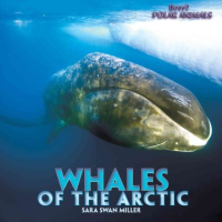 Whales_of_the_Arctic