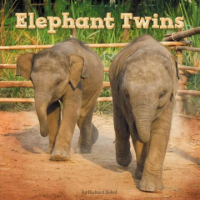 Elephant_twins