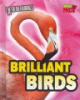 Brilliant_birds