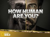 How_human_are_you_