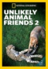 Unlikely_animal_friends