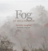 Fog_at_Hillingdon