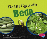 The_life_cycle_of_a_bean