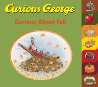 Curious_about_fall